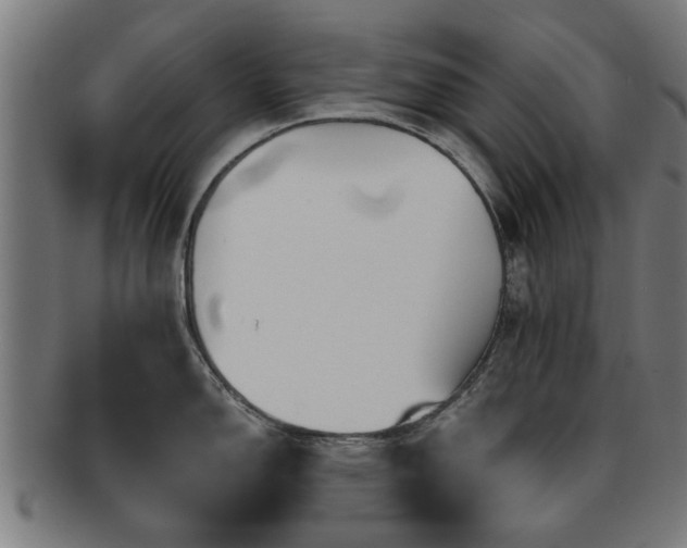 X0000091891150200709051338
