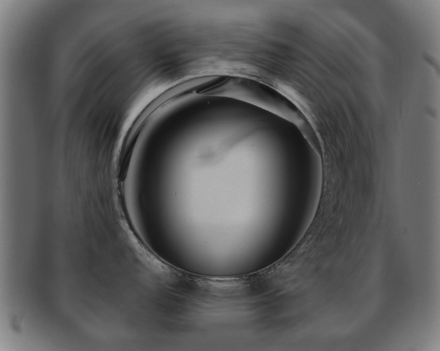 X0000091891152200709051338
