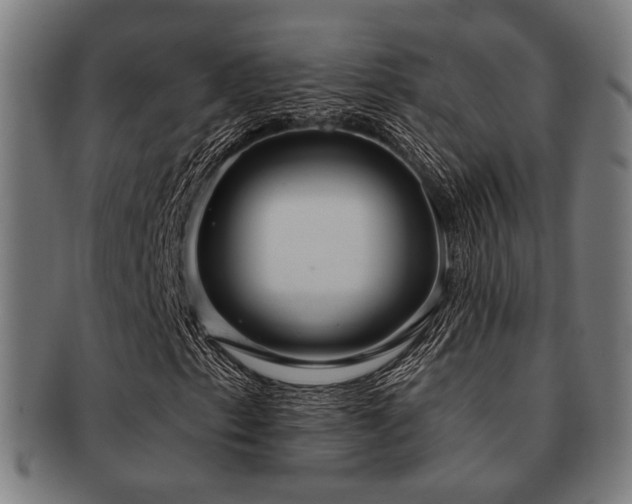 X0000091891153200709051338