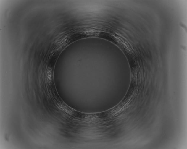 X0000091891154200709051338