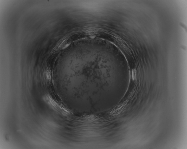 X0000091891155200709051338