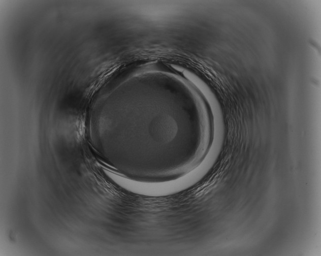 X0000091891156200709051338