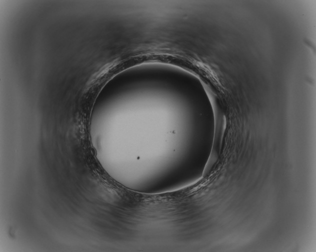 X0000091891159200709051338