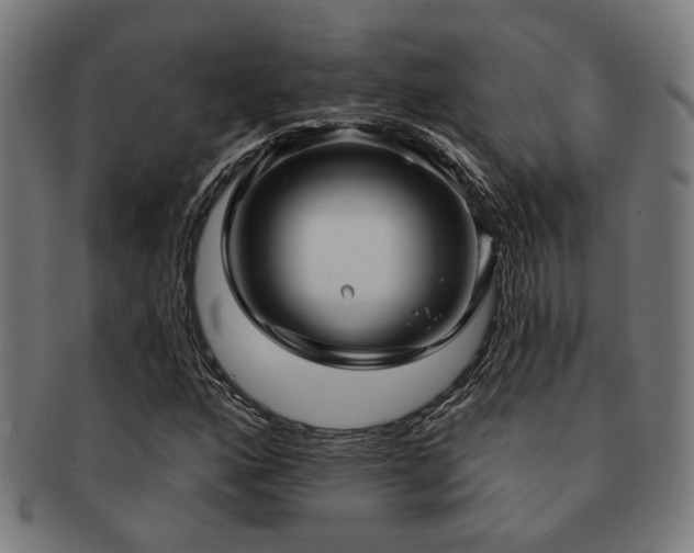 X0000091891160200709051338