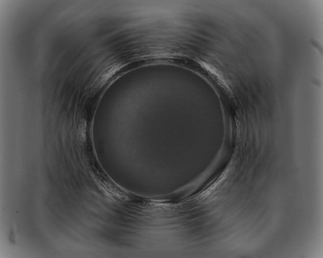 X0000091891161200709051338