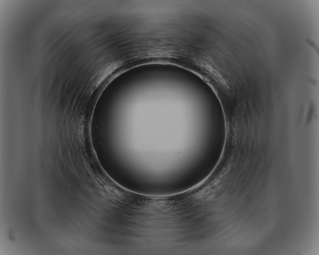X0000091891162200709051338