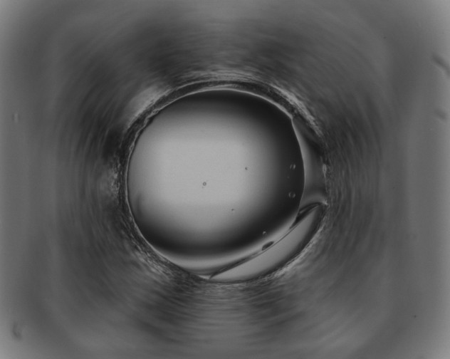 X0000091891163200709051338
