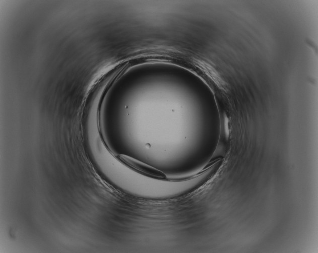 X0000091891164200709051338