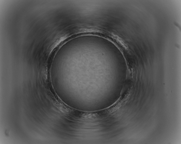 X0000091891165200709051338