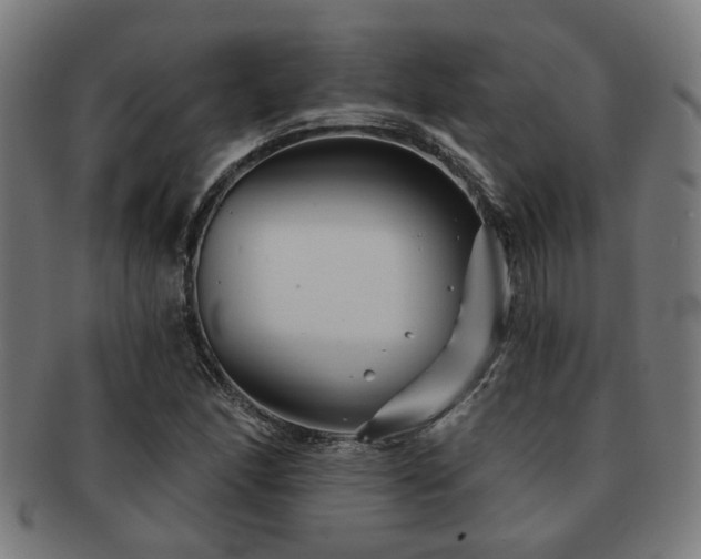 X0000091891166200709051338