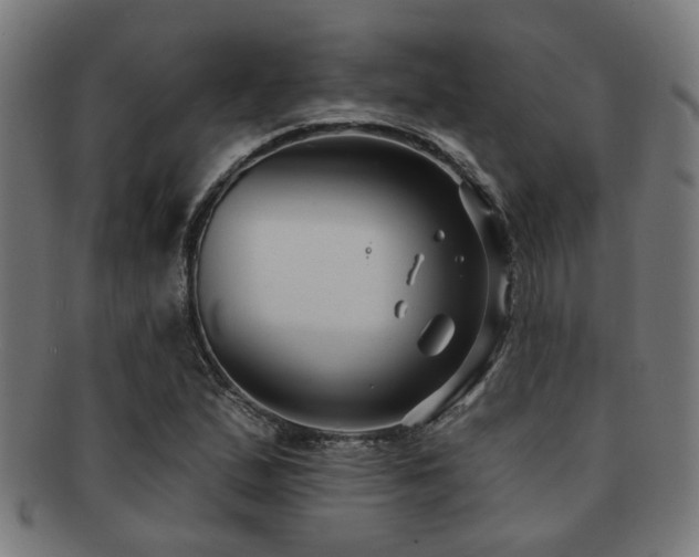 X0000091891167200709051337