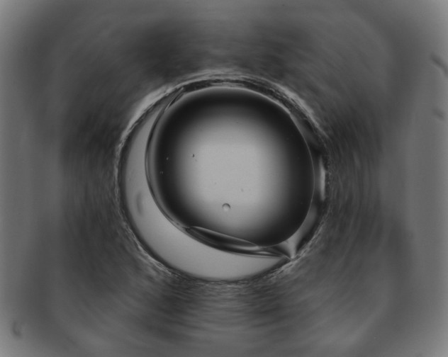 X0000091891168200709051337