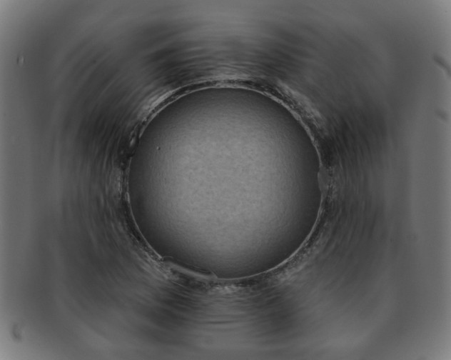 X0000091891169200709051337