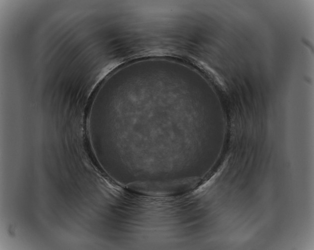X0000091891170200709051337