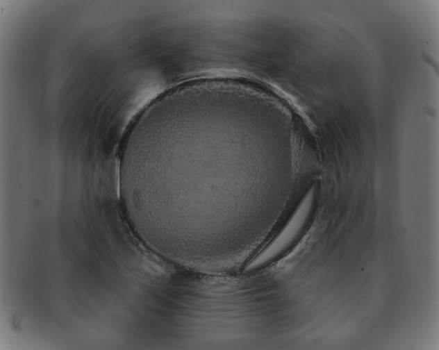 X0000091891171200709051337