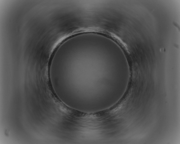 X0000091891174200709051337
