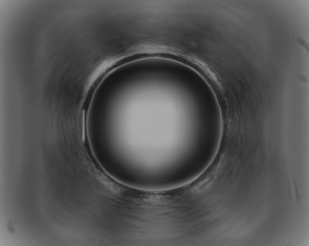 X0000091891175200709051337