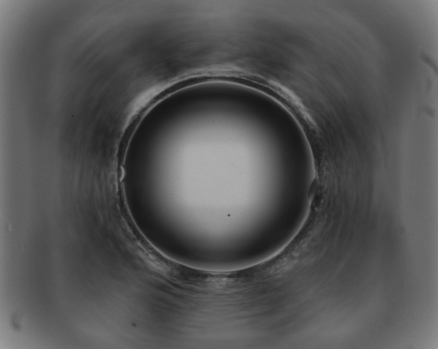 X0000091891176200709051337