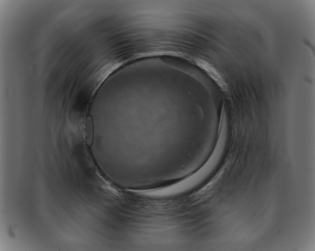 X0000091891177200709051337
