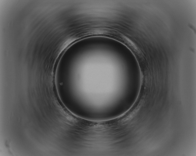 X0000091891178200709051337