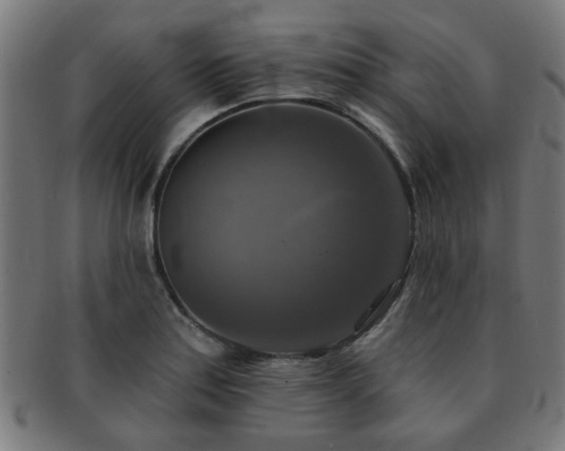 X0000091891179200709051337