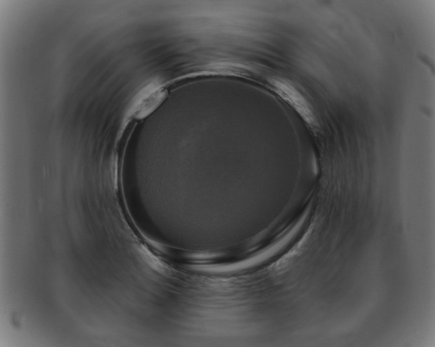 X0000091891180200709051337