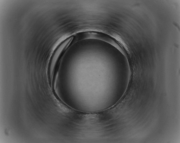 X0000091891181200709051337