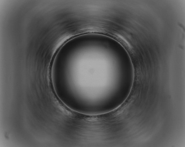 X0000091891182200709051337