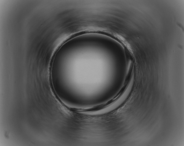 X0000091891183200709051337