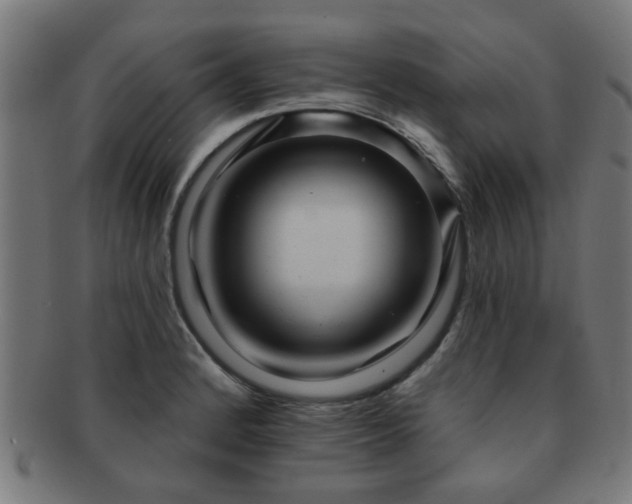 X0000091891184200709051337
