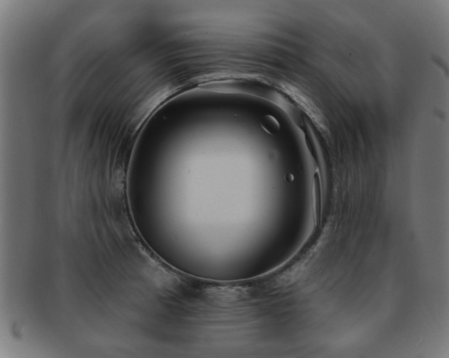 X0000091891185200709051337