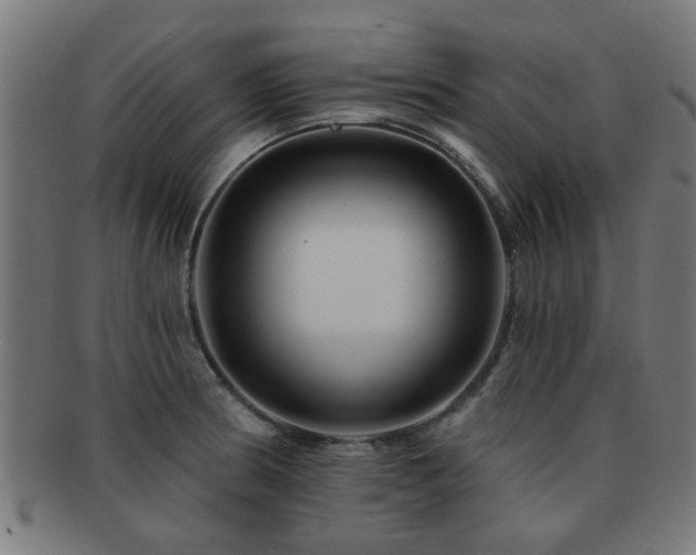 X0000091891186200709051337