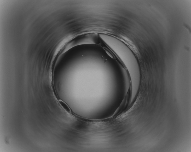 X0000091891188200709051337