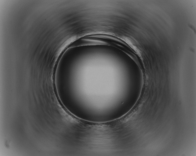 X0000091891189200709051337
