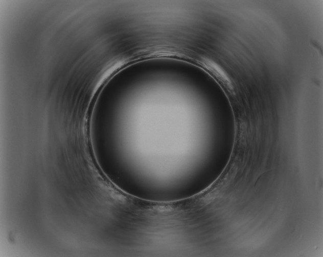 X0000091891190200709051337