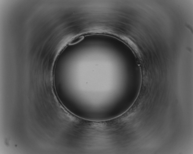 X0000091891191200709051337