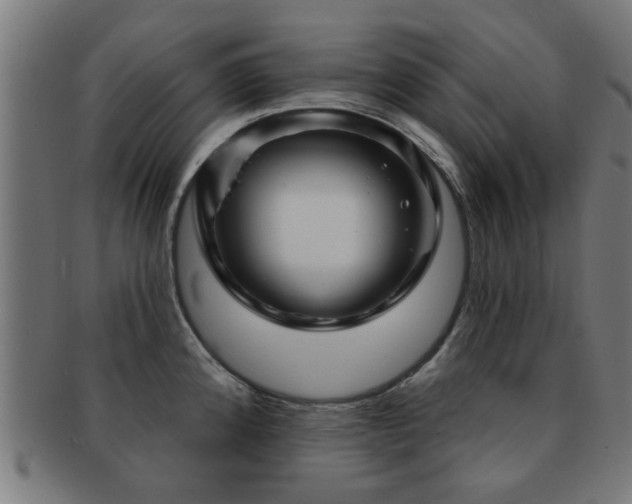 X0000091891192200709051337
