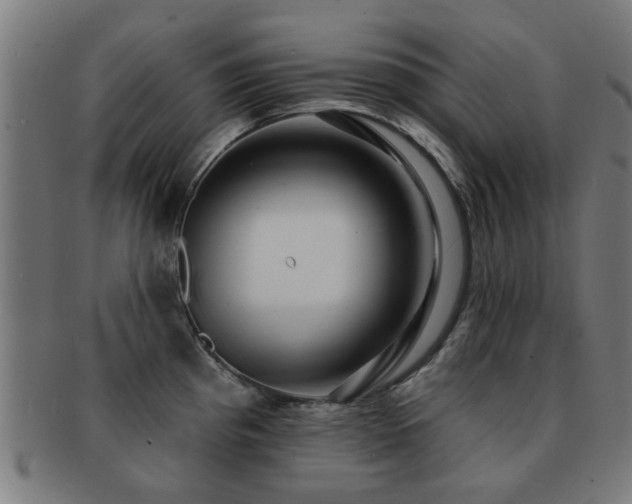 X0000091891193200709051337