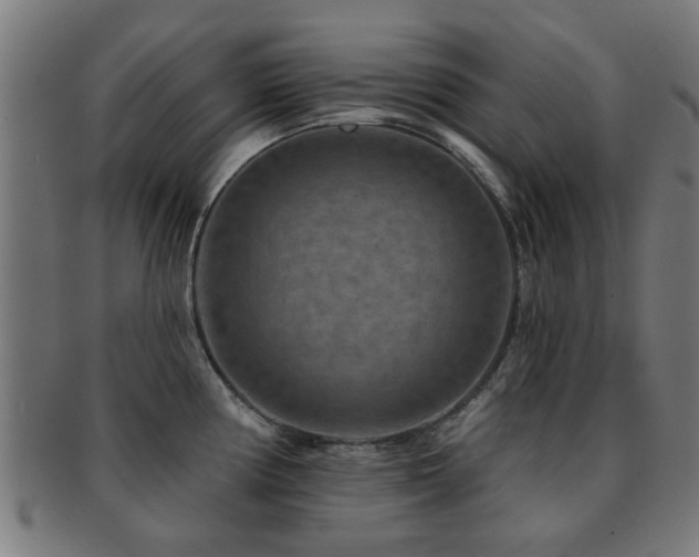 X0000091891194200709051337