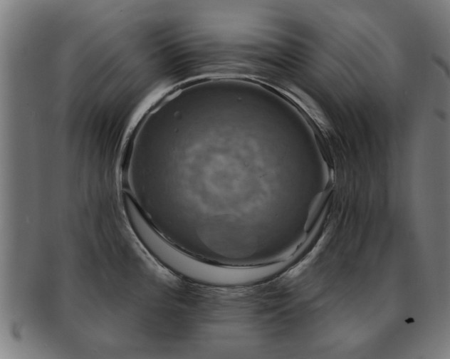 X0000091891196200709051337