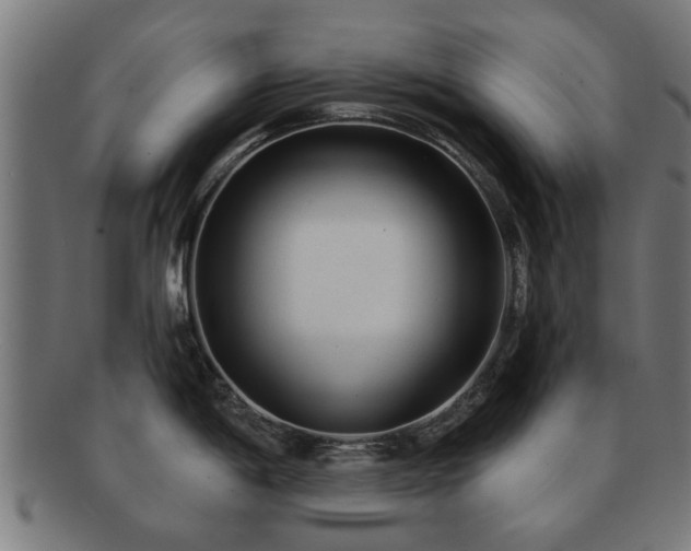 X0000091891198200709051337