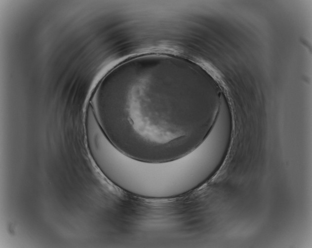 X0000091891200200709051337