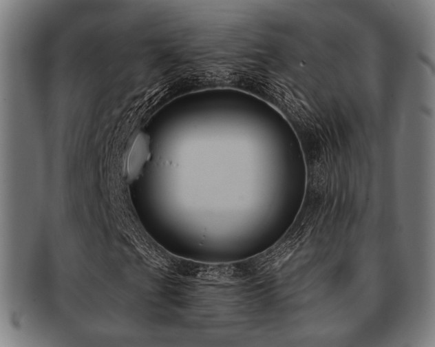 X0000091891201200709051337