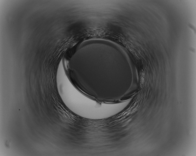 X0000091891202200709051337