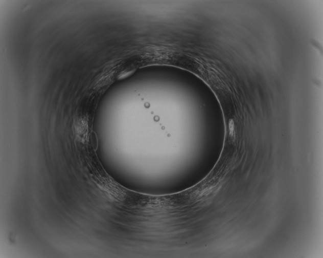 X0000091891203200709051337
