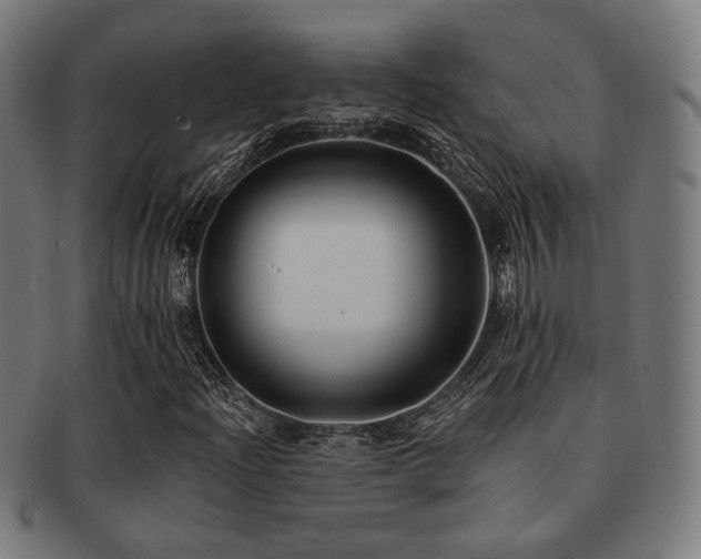 X0000091891204200709051337