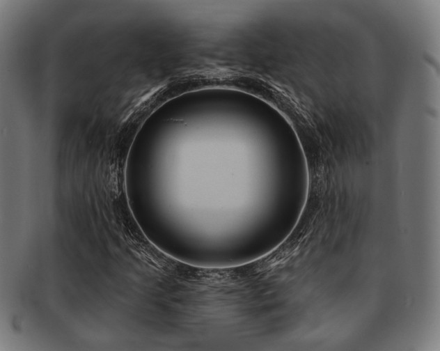 X0000091891205200709051337