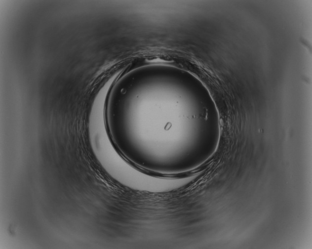 X0000091891206200709051337