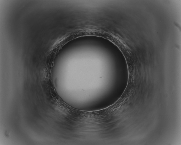 X0000091891207200709051337
