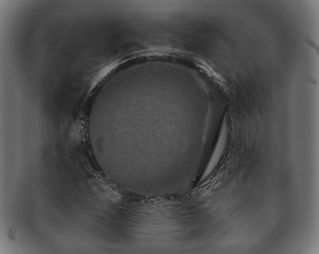 X0000091891208200709051337